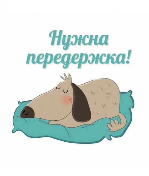 Солнечны. Найден кобель, помесь Йорка, модная недавняя стрижка, ухожен, ласков. 03