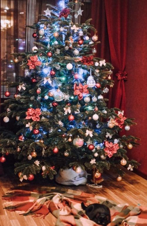 _Наша новогодняя, домашняя, беременная фото - сессия_. 04