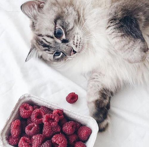 ? 50. Фактов об Эмме Уотсон? 1.? 01 ? 50. Фактов об Эмме Уотсон? 1.? 01