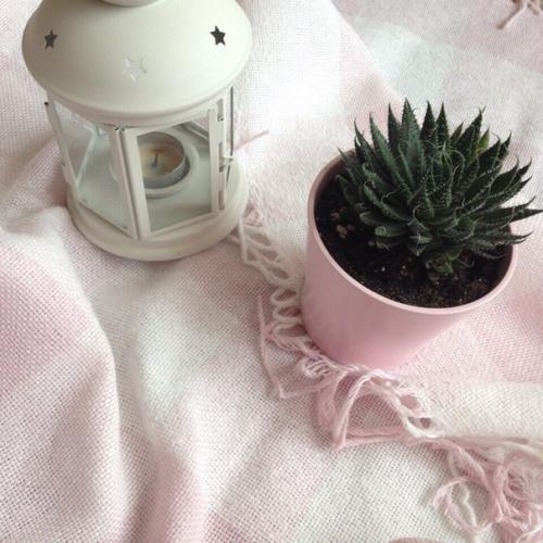 Как навести порядок в школьной сумке? 03 Как навести порядок в школьной сумке? 03