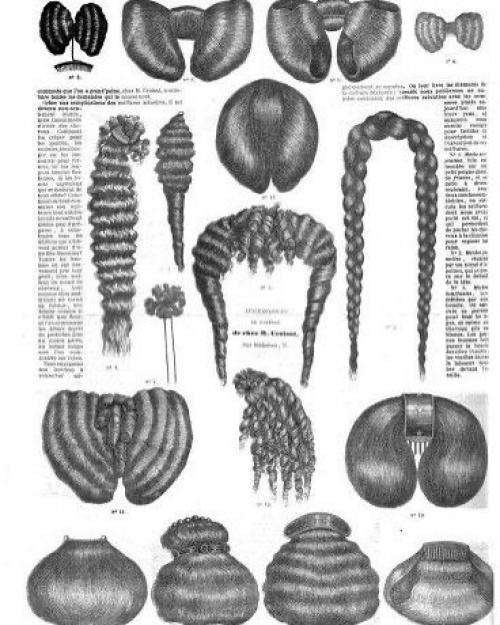 Наращивание волос имеет удивительно долгую и увлекательную историю. 08 Наращивание волос имеет удивительно долгую и увлекательную историю. 08