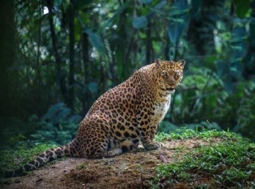 Тот момент, когда беременность всегда красива! 01