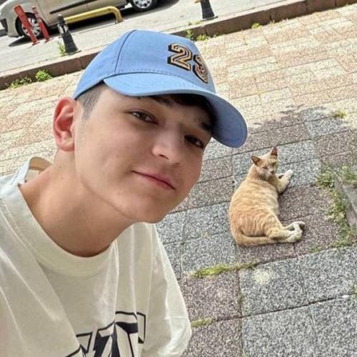 Фотоподборка с котиками кто самый милый? 03