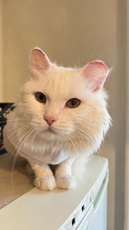 А что это вы делаете тут? 01 А что это вы делаете тут? 01