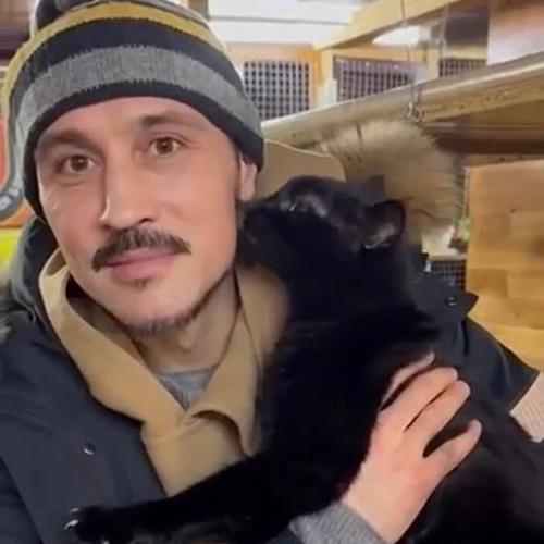 Фотоподборка с котиками кто самый милый? 04