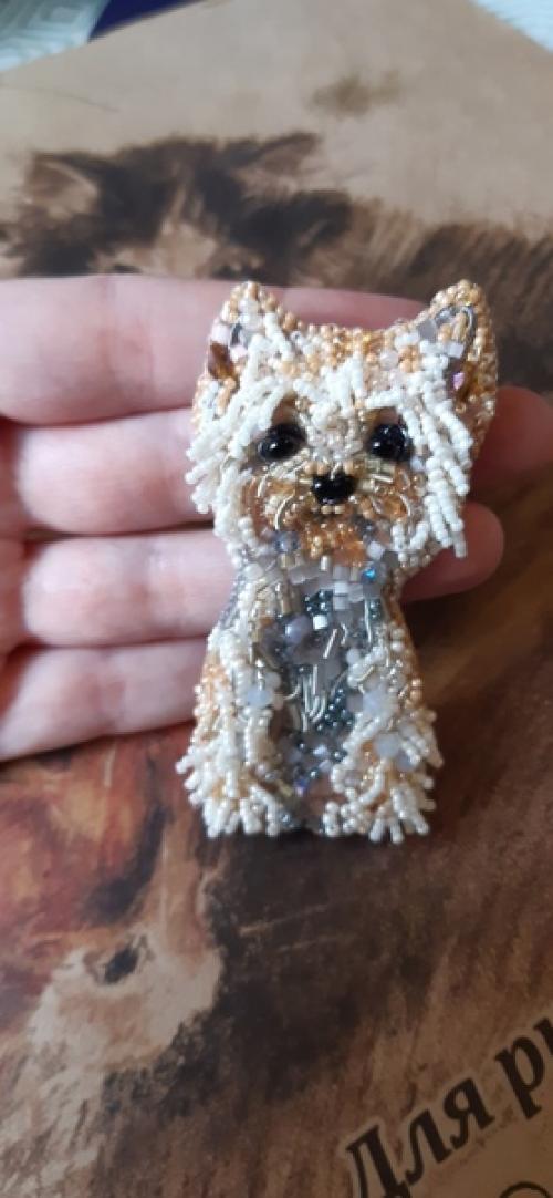 Мои собачули.  Иногда кажется, что я уже с закрытыми глазами вышью этих замечательных йориков, бишонов, шпицов. 03