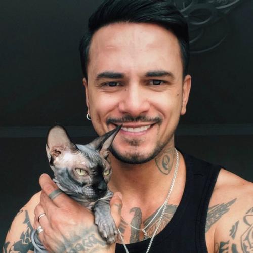 Фотоподборка с котиками кто самый милый? 05