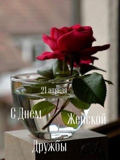 Жаль что не все фото могу найти и выложить. 04