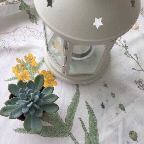 Как подобрать цвет волос? 03