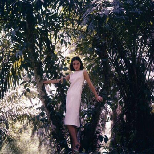 - 8 цитат несравненной Одри Хепбёрн. 05 - 8 цитат несравненной Одри Хепбёрн. 05