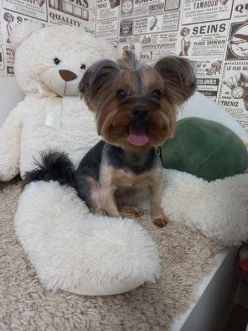 А к нам приходила домовенок Ника на полный комплекс: 01