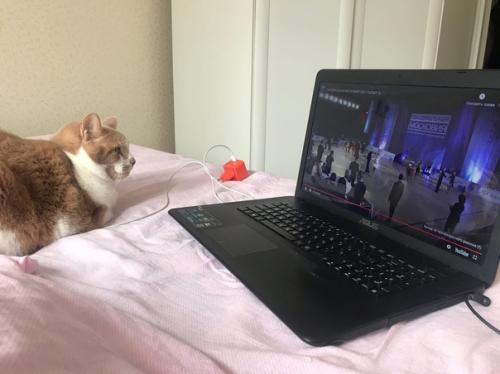 Закулисье, дочь не простит но это труды тренеров и детей. 05