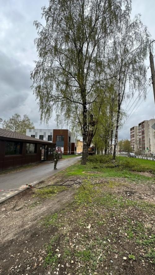 Ну а мы продолжаем облагораживать территорию около бара, и на этот раз приводили в порядок деревья. 02