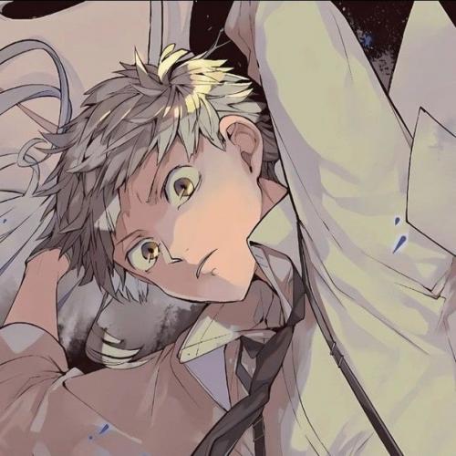 Factsbungostraydogs_Home. Atsuchi bsd. 01 Factsbungostraydogs_Home. Atsuchi bsd. 01