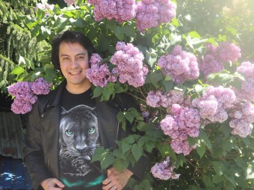 Наша красавица сирень на участке в Сестрорецке! 02