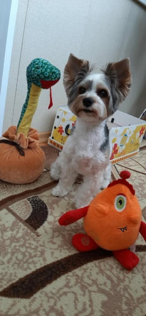 Наши выпускники. Литера г. 01 Наши выпускники. Литера г. 01