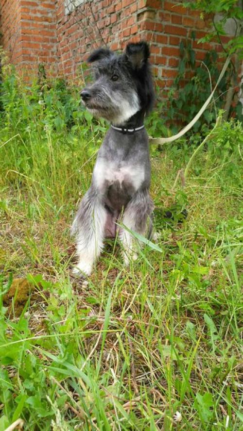 И кто это такая красотка? 02 И кто это такая красотка? 02