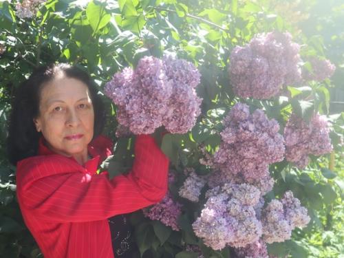 Наша красавица сирень на участке в Сестрорецке! 06