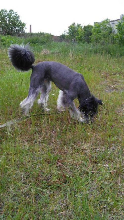 И кто это такая красотка? 03 И кто это такая красотка? 03