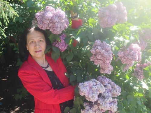 Наша красавица сирень на участке в Сестрорецке! 04