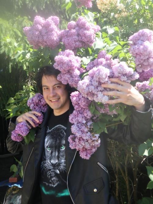 Наша красавица сирень на участке в Сестрорецке! 03