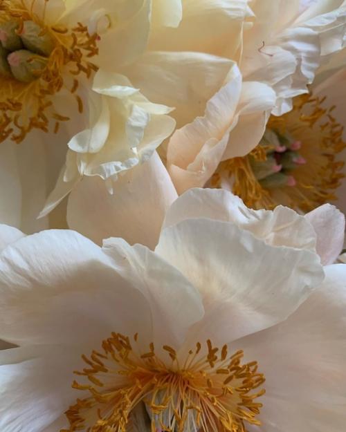 5 идей простых причесок для дома. 01 5 идей простых причесок для дома. 01