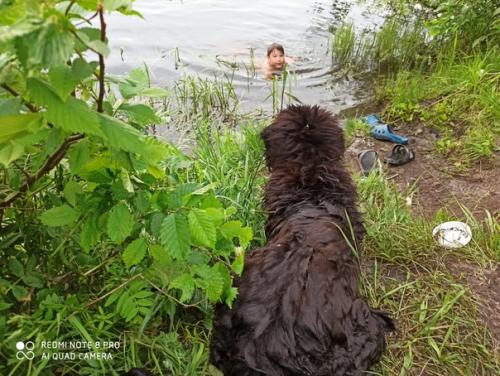 Фотоприветики из дома от звездочки, а ныне молли и барона. 03