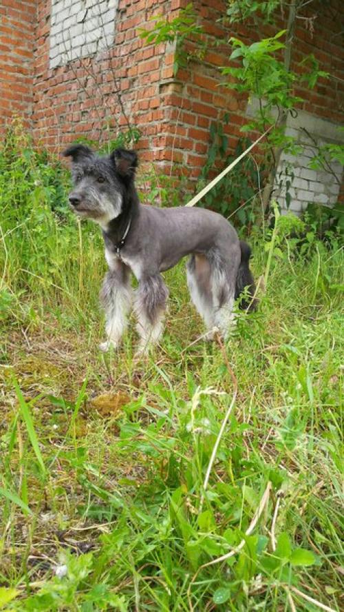 И кто это такая красотка? 01 И кто это такая красотка? 01