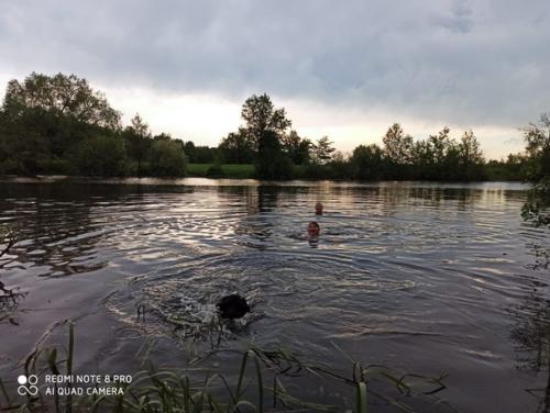 Фотоприветики из дома от звездочки, а ныне молли и барона. 04