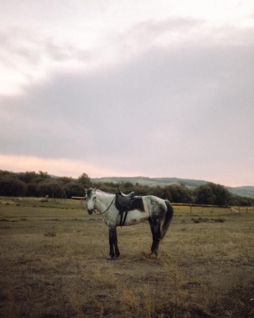 Живу на отшибе! 08 Живу на отшибе! 08