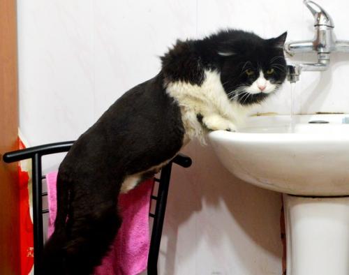 Что вы о модных стрижках этого лета знаете? 01