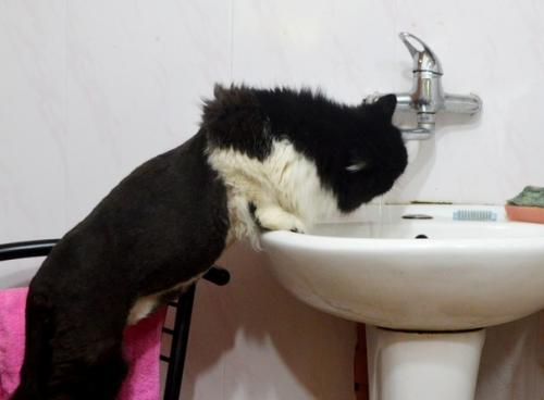 Что вы о модных стрижках этого лета знаете? 03