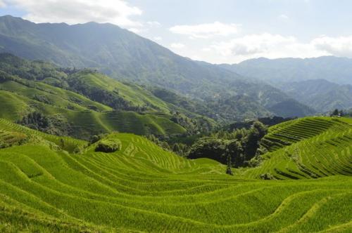 Шифу Дает Второй Урок. 06 Шифу Дает Второй Урок. 06