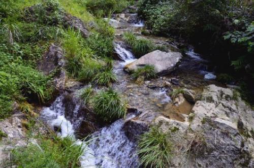 Шифу Дает Второй Урок. 02 Шифу Дает Второй Урок. 02