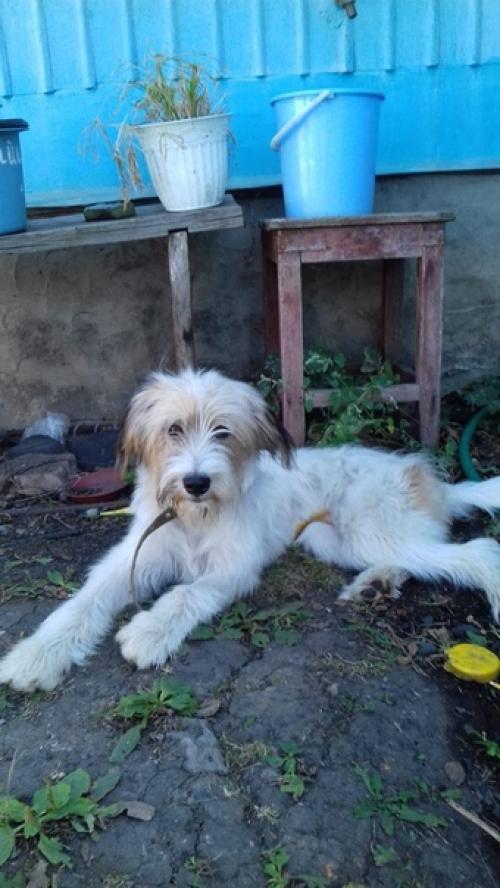 А давайте новостя о нашей джеське расскажу? 02 А давайте новостя о нашей джеське расскажу? 02