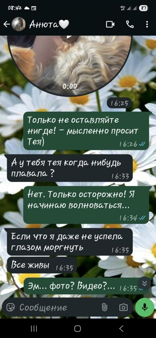 Итак, я - молодец! 03