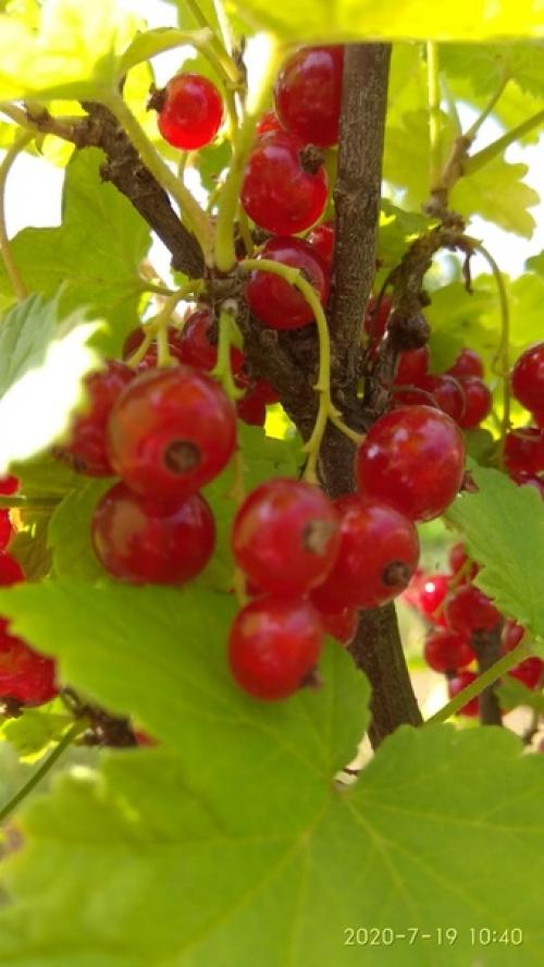 Как изобильна природа! 07 Как изобильна природа! 07