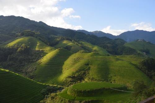 Шифу Дает Второй Урок. 01 Шифу Дает Второй Урок. 01