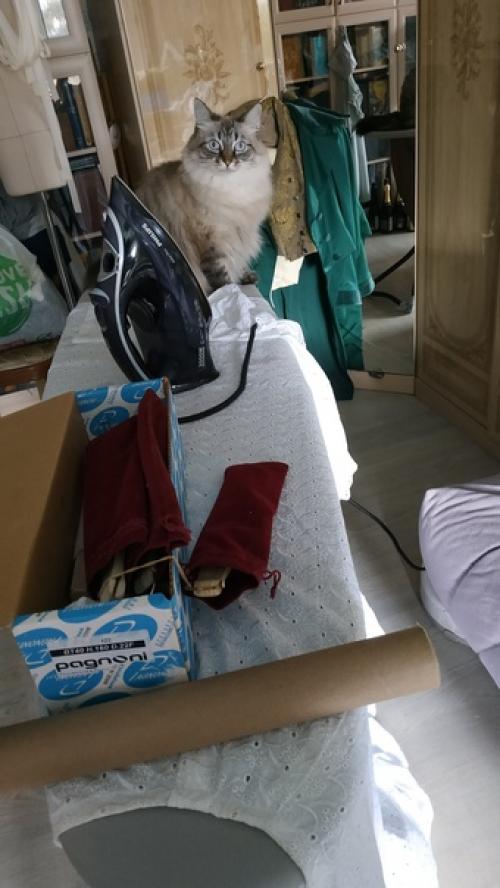 Сборы к балу лучше всего в отличной компании проходят! 04