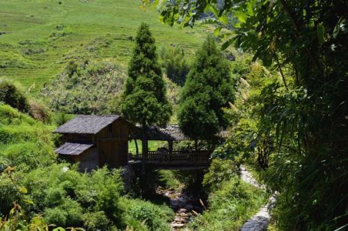 Шифу Дает Второй Урок. 05 Шифу Дает Второй Урок. 05