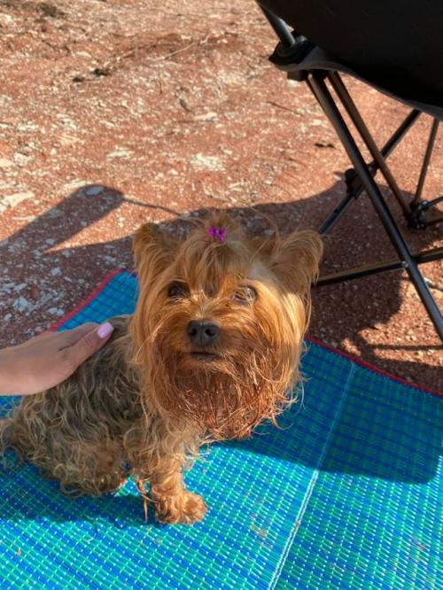 Итак, я - молодец! 02