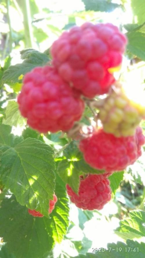 Как изобильна природа! 02 Как изобильна природа! 02