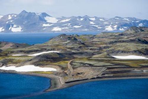 Шетлендский пони - маленькая, но очень гордая лошадка. 01 Шетлендский пони - маленькая, но очень гордая лошадка. 01