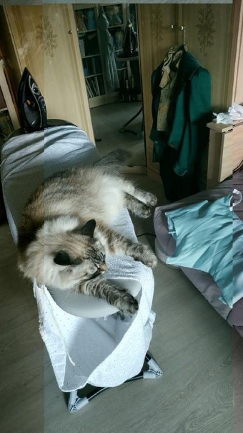 Сборы к балу лучше всего в отличной компании проходят! 01