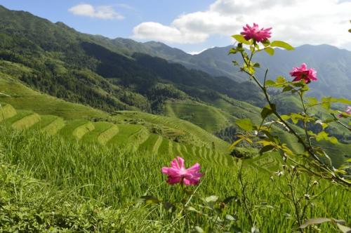 Шифу Дает Второй Урок. 07 Шифу Дает Второй Урок. 07