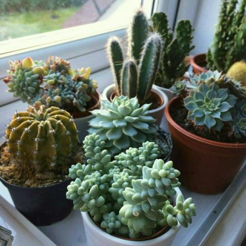 КАК Хорошо Выглядеть. 03 КАК Хорошо Выглядеть. 03