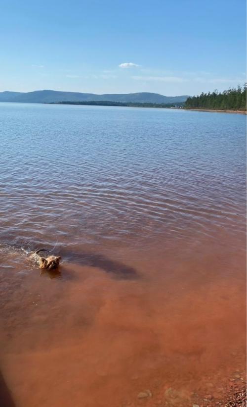 Итак, я - молодец! 04