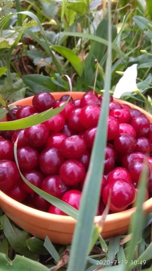 Как изобильна природа! 05 Как изобильна природа! 05