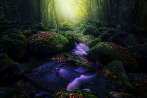 333 способа пополнения женской энергии. 01 333 способа пополнения женской энергии. 01