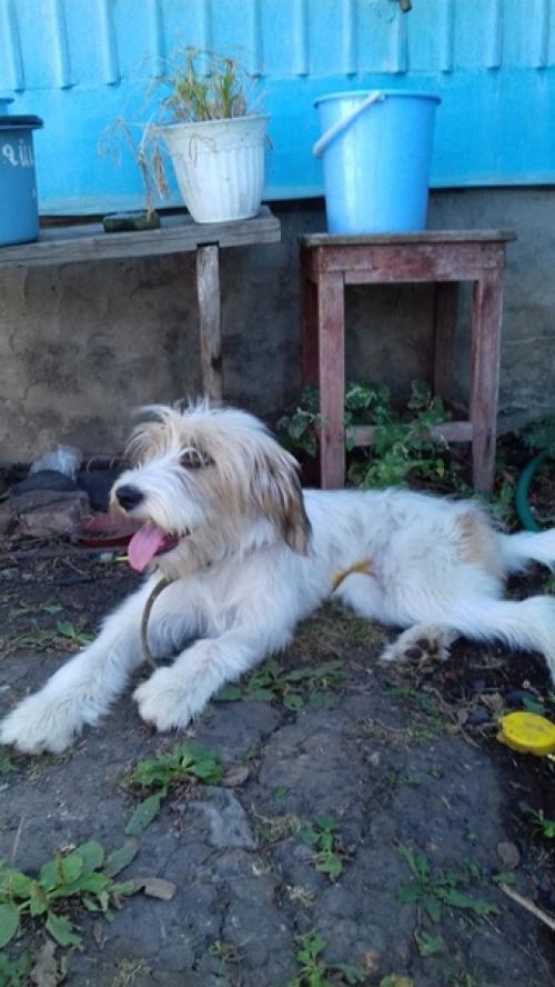 А давайте новостя о нашей джеське расскажу? 01 А давайте новостя о нашей джеське расскажу? 01